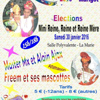 Carnaval 2016 - Elections