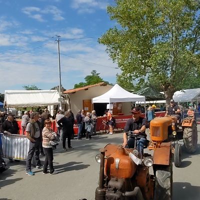 PRESENTATION FOIRE DE MONTDRAGON 2025