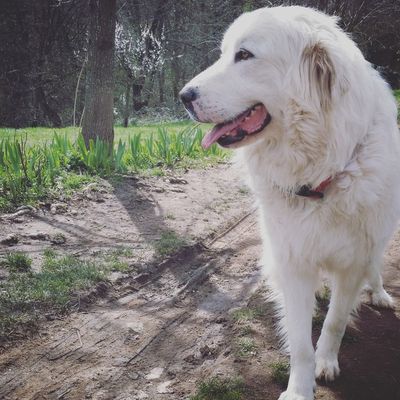 Cannelle, mon Amour { 1 an après }