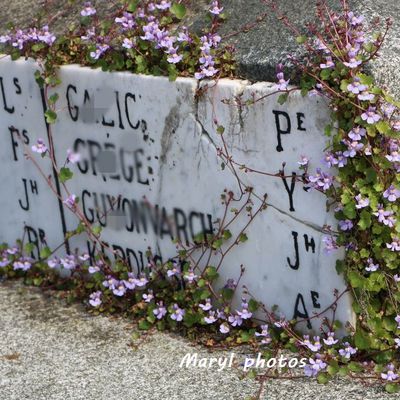 Des noms sur un monument : Résistants, Victimes civiles et militaires (39-45)...