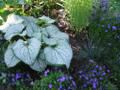   le blog le-jardin-de-berthille