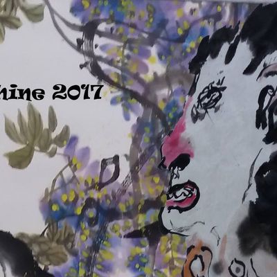 BHNchine2017
