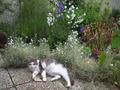 LE.JARDIN.DES.M