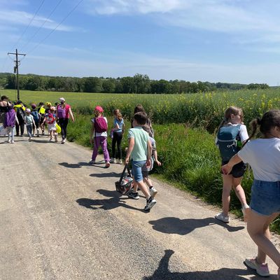 Une marche sous le soleil 