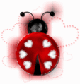 Coccirine