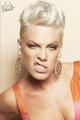  le blog pink-alecia-moore