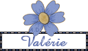 Nouvelle année