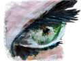 PhotOpus