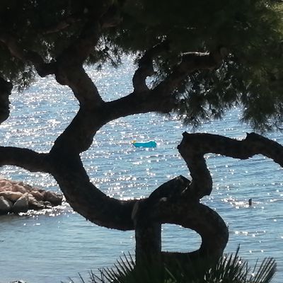 Aux délices du sud .
