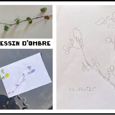 dessin d'ombre