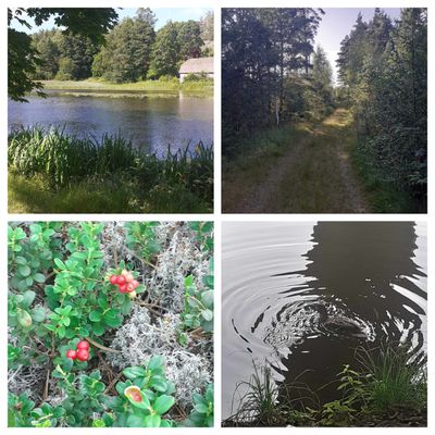 La nature pour mon bien-être 🌿 Nature for my well-being