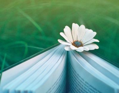 Association Lectures Vagabondes