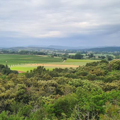 Randonnée du dimanche 4 mai 2025 - Les "Déjantés du Massif d'Uchaux"