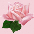 hmk