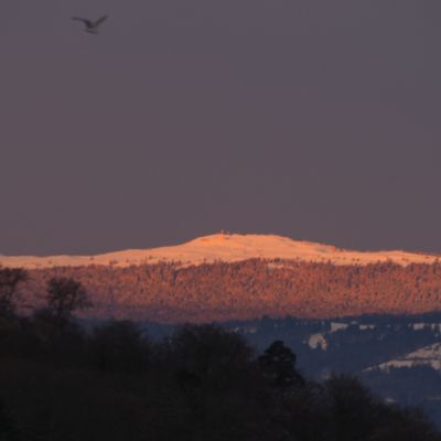 Première neige