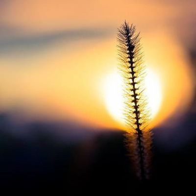 Essentiellement Natur'Elle