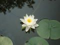  www.bassins-de-jardin.com