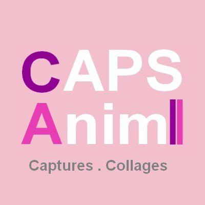 Les Captures de Caps'Anim