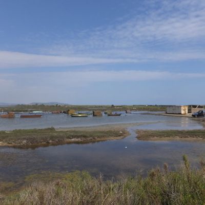 Gardiens de Thau ses Ports et sa Lagune