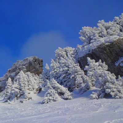 Chamechaude : Monstre bon !