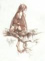 Histoires d'ailes