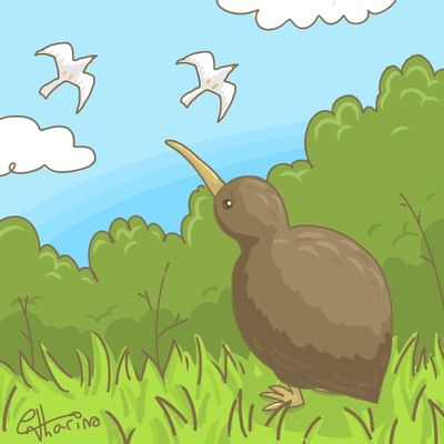 BDKiwi